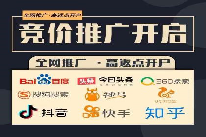 某某SEM团队成功案例：广告投放策略揭秘